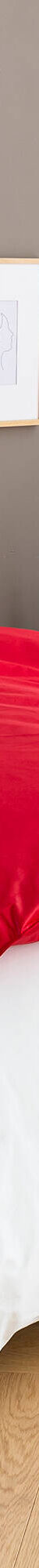 Édredon naturel duvet et plumettes qualité prestige (cerise) Édredon naturel duvet et plumettes qualité prestige (cerise)
